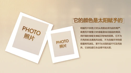 古香古色中国风中医艾灸PPT动态模板