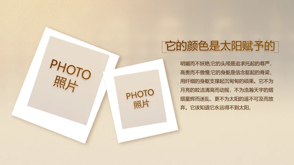 古香古色中国风中医艾灸PPT动态模板