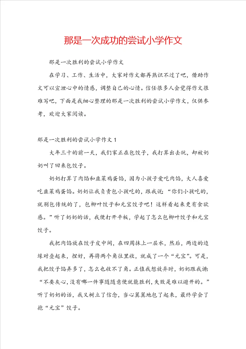 那是一次成功的尝试小学作文