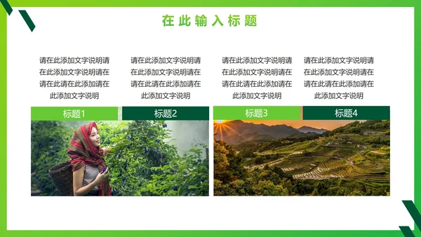 绿色简约实景农业建设商业计划书PPT模板
