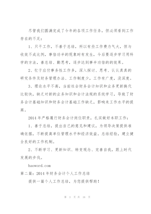 个人财务会计工作总结.docx