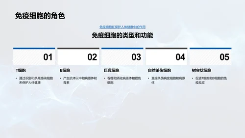 免疫系统答辩报告PPT模板