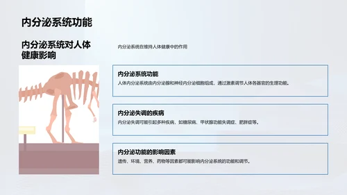 人体生理学讲解