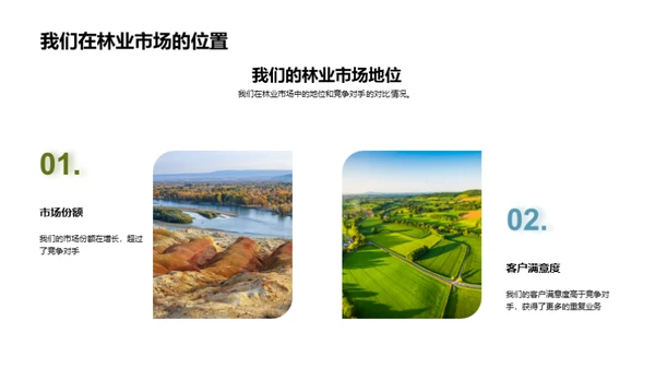 林业进步路