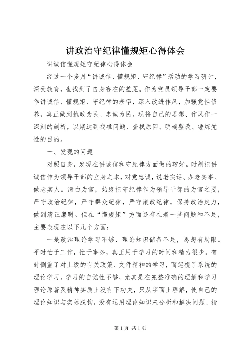 讲政治守纪律懂规矩心得体会 (2).docx