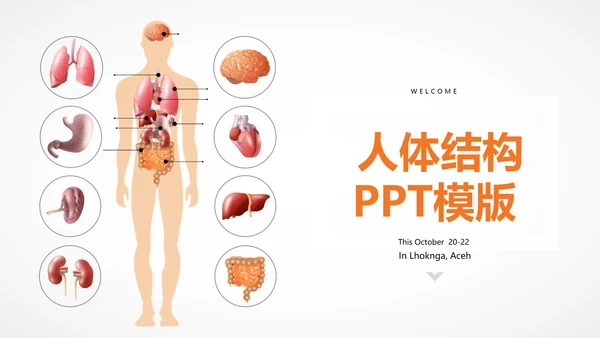 医疗医学人体结构动态PPT模板