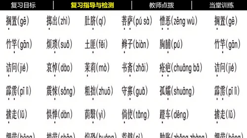 七年级下册语文复习专题二：字词梳理 课件（含截屏）