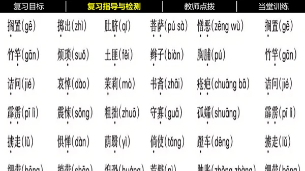 七年级下册语文复习专题二：字词梳理 课件（含截屏）