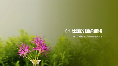 社团力量探索
