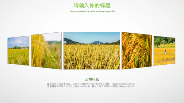 农业生产春耕三农新农村乡村振兴稻田水稻PPT