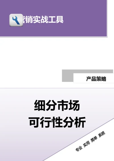 细分市场可行性分析.doc.docx