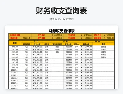 财务收支查询表