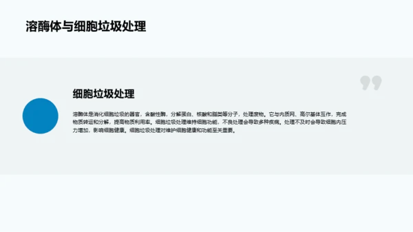 蓝色细胞结构和功能介绍PPT模板
