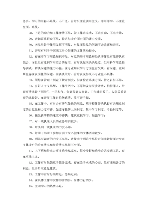 批评意见清单精选2篇.docx