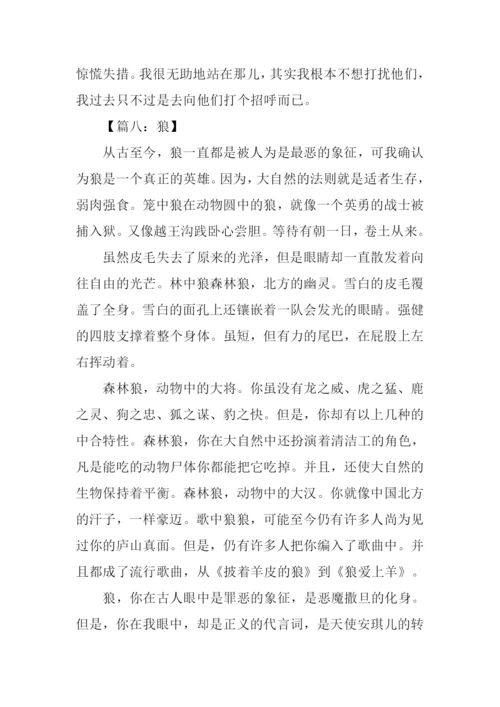 关于狼的作文400字.docx