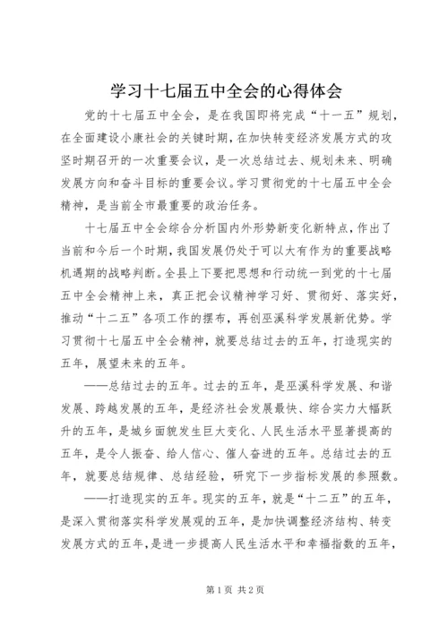 学习十七届五中全会的心得体会 (2).docx