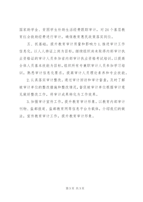 XX年教育局教育审计工作要点.docx