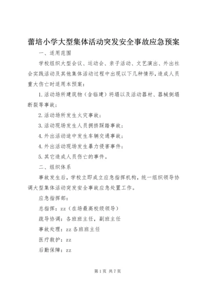 蕾培小学大型集体活动突发安全事故应急预案.docx