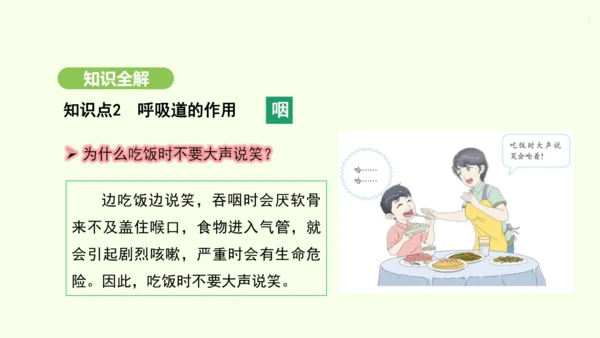 第四单元-第三章-第一节-呼吸道对空气的处理课件-2024-2025学年七年级生物下学期人教版(20