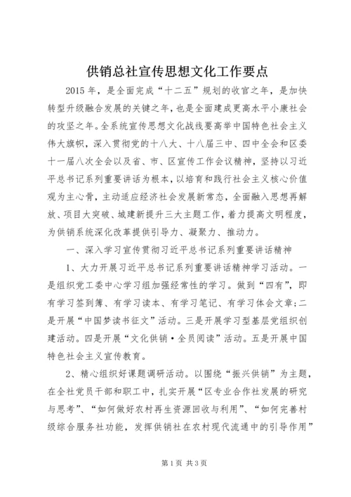 供销总社宣传思想文化工作要点.docx