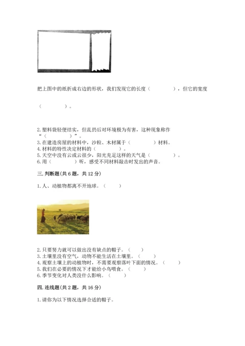 教科版二年级上册科学期末测试卷（实用）word版.docx