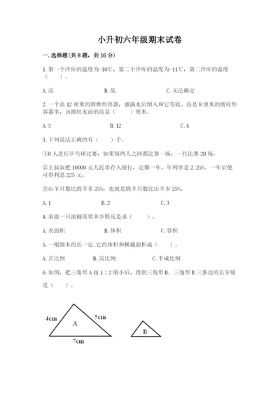 小升初六年级期末试卷精品（能力提升）.docx