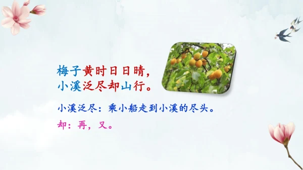 1古诗三首 三衢道中 课件