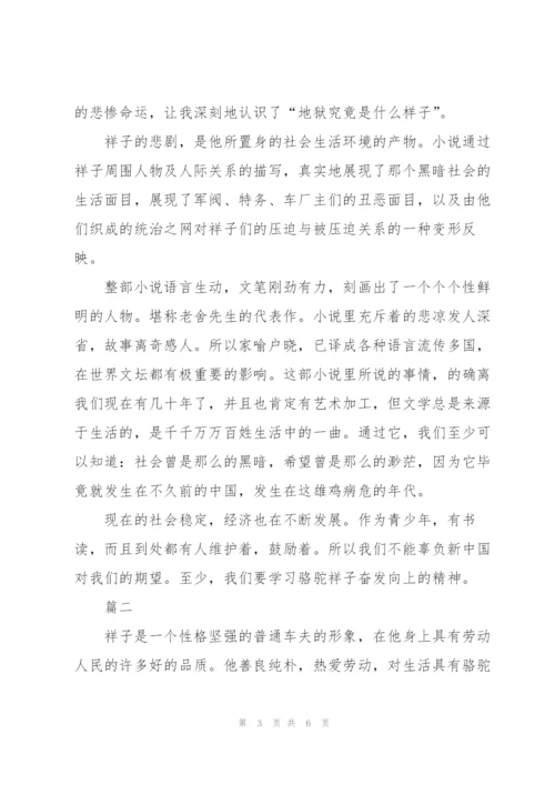 骆驼祥子读书笔记读后感大全.docx