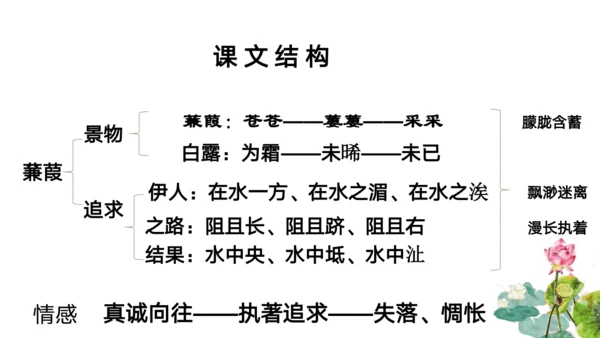 12《诗经》二首 蒹葭 课件
