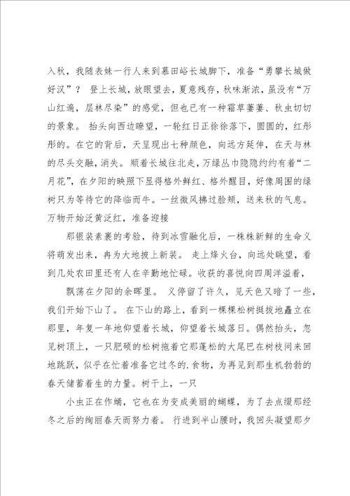 有关说明文作文600字锦集八篇