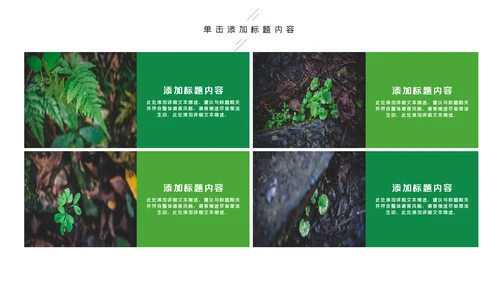 唯美绿色植物发芽植物生长敬畏生命PPT模板