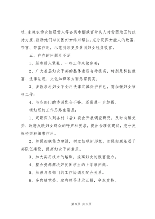 乡镇妇联某年工作总结.docx