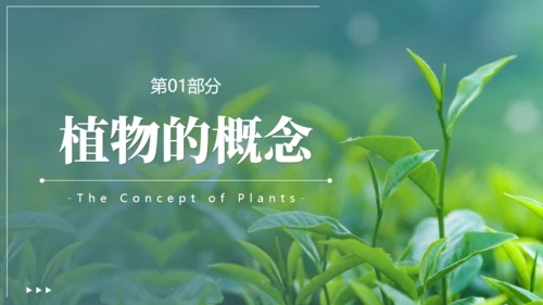 植物介绍笔记植物分类知识科普通用PPT模板