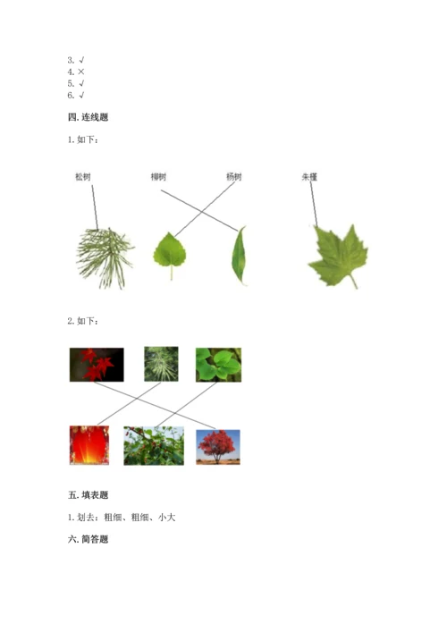 教科版科学一年级上册第一单元《植物》测试卷【a卷】.docx