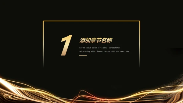 黑金高端商业计划书模板