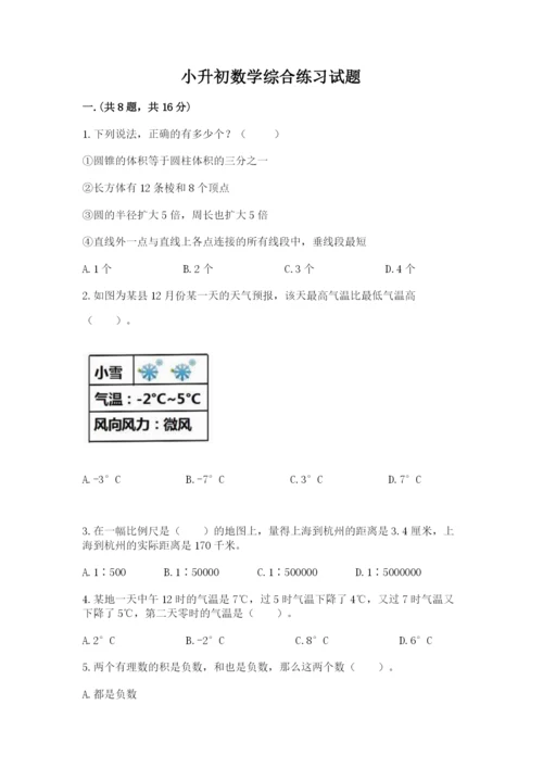 小升初数学综合练习试题带答案（培优）.docx