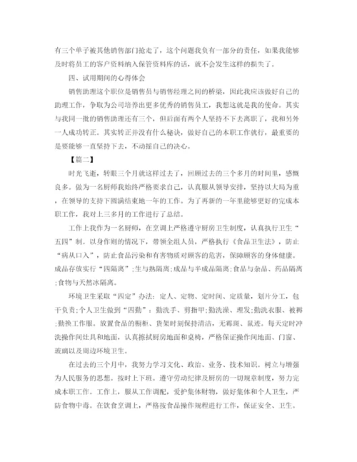 精编之个人转正工作总结范文3000字.docx