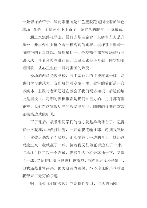 我们的校园作文600字.docx