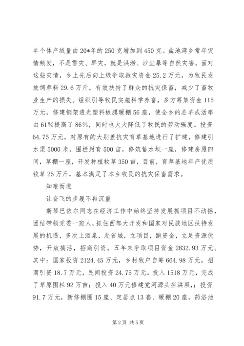 牧区党委书记的事迹材料.docx