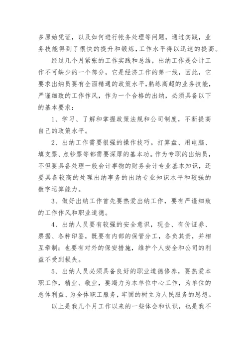 财务出纳个人工作总结.docx