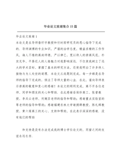 毕业论文致谢集合15篇.docx