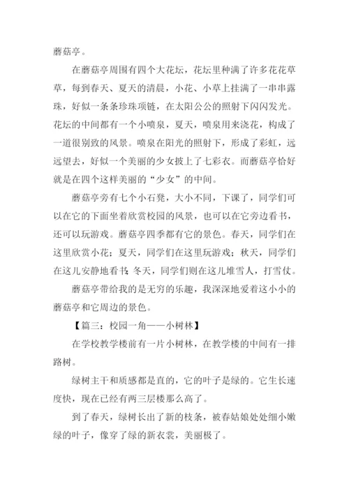 小学四年级校园一角.docx