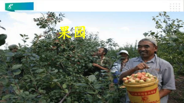 一年级道德与法治下册：第八课 大自然谢谢您 课件（共26张PPT）