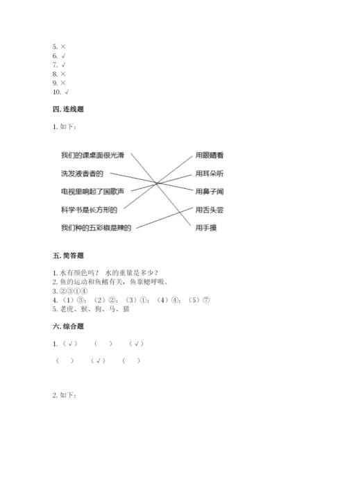 教科版一年级下册科学期末测试卷【基础题】.docx