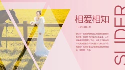 我们结婚啦浪漫婚礼520粉色婚礼相册通用PPT模板