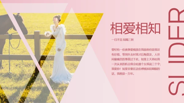 我们结婚啦浪漫婚礼520粉色婚礼相册通用PPT模板