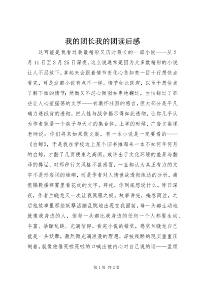 我的团长我的团读后感.docx