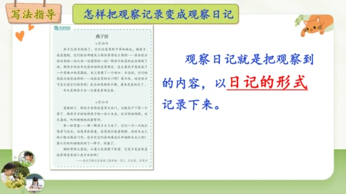 统编版2024-2025学年语文四年级上册第三单元习作 观察日记-（教学课件）