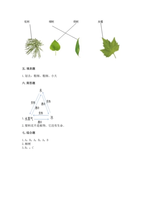 教科版科学一年级上册第一单元《植物》测试卷及答案【各地真题】.docx