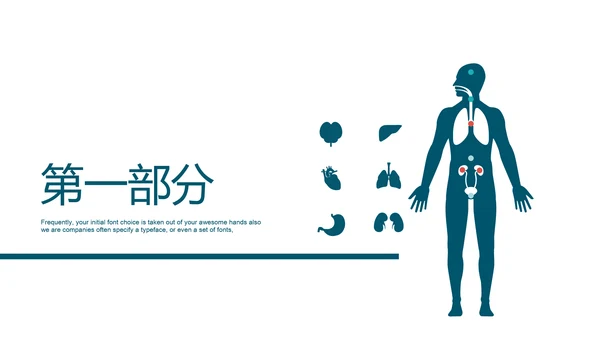 人体器官分布医学医疗ppt动态模板
